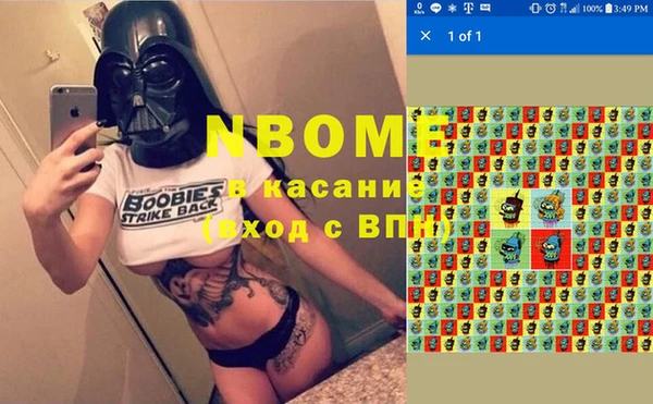 PSILOCYBIN Алзамай