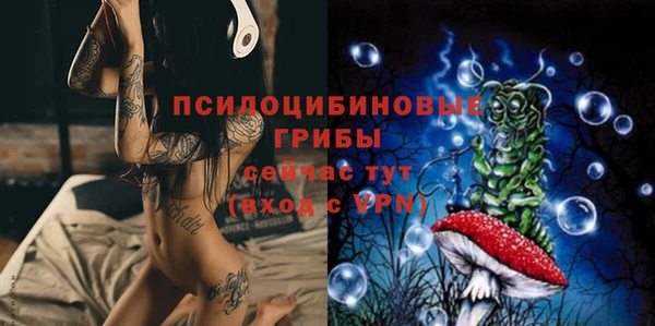 дживик Алексеевка